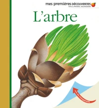 L'arbre