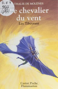 Le chevalier du vent