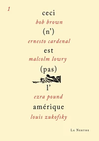 Ceci (n')est (pas) l'Amérique