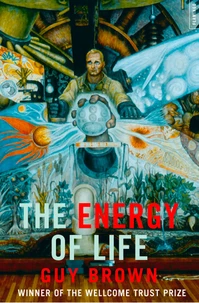 The Energy of Life
