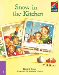 Snow in the Kitchen