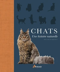 Chats