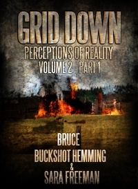  Bruce Buckshot Hemming - Grid Down Perceptions Of Reality - Part 1, #2.