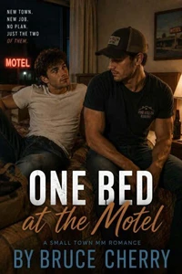 One Bed at the Motel