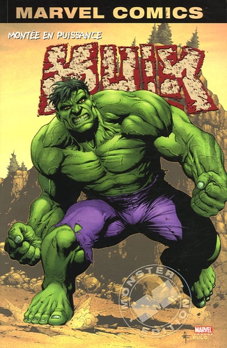 Bruce Jones et Mike Jr Deodato - Hulk Tome 1 : Montée en puissance.