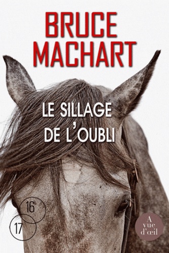 Le sillage de l'oubli Edition en gros caractères