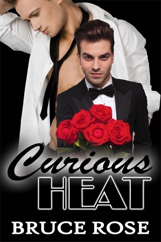  Bruce Rose - Curious Heat - A Fairview Story, #1.