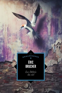 Les Débris du ciel