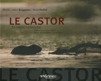 Le castor
