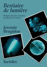 Bestiaire de Lumière