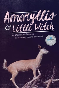 Amaryllis &amp; Little Witch