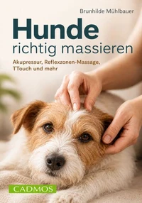Hunde richtig massieren