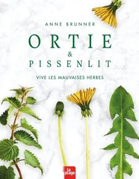 Ortie et pissenlit