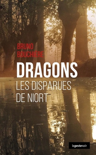 Bruno Bouchière - Dragons, les disparues de Niort.