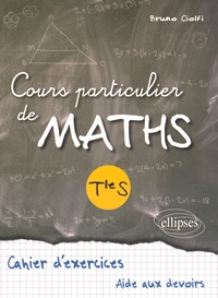 Bruno Ciolfi - Cours particuliers de maths terminale S.