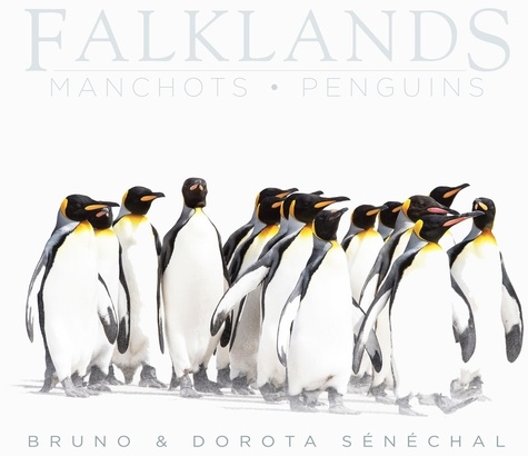 Bruno dorota Sénéchal - Falklands - manchots - penguins.