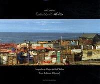 Camino sin asfalto