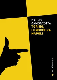 Torino, lungodora Napoli
