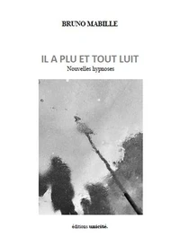 Il a plu et tout luit