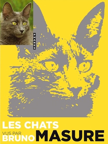 Bruno Masure - Les chats vus par Bruno Masure.