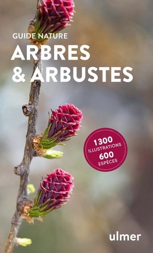 Arbres et arbustes