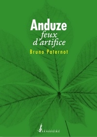 Bruno Paternot - Anduze - Feux d'artifice.
