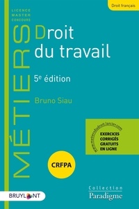 Téléchargez des ebooks pdf gratuits sans inscription Droit du travail  - Préparation aux examens et concours 9782390132967 (French Edition)