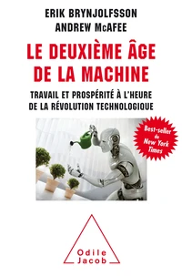 Le deuxieme âge de la machine