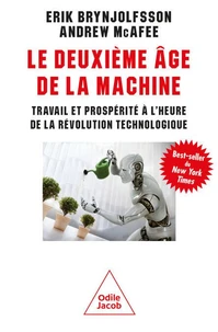 Le deuxieme âge de la machine