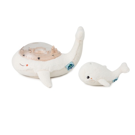 TRANQUIL WHALE - WHITE