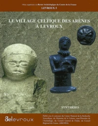 Le village celtique des arènes à Levroux