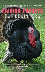 Raising Turkeys for Beginners: Raising Heritage &amp; Meat Breeds