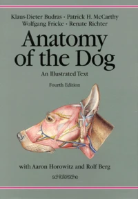 Anatomy of the Dog