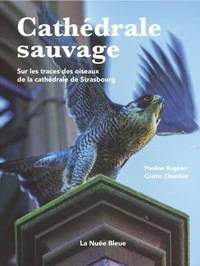 Cathédrale sauvage
