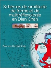 Les schémas de similitude de forme et de multiréflexologie en Dien Chan
