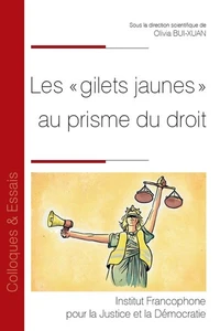 Les "gilets jaunes" au prisme du droit