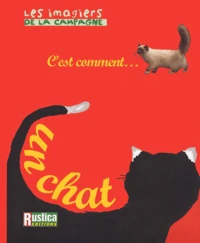 C'Est Comment... Un Chat