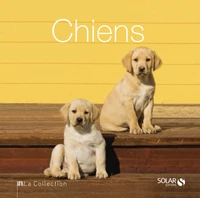 Chiens