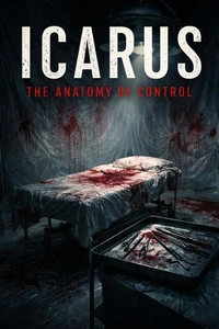 Icarus The Anatomy of Control