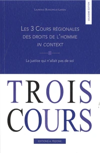 Les 3 Cours régionales des droits de l’homme in context
