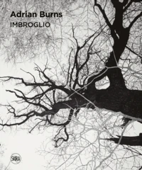 Imbroglio