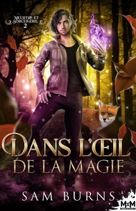 Dans l'oeil de la magie