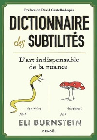 Dictionnaire des subtilités