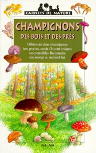 Champignons des bois et des prés