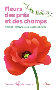 Fleurs des prés et des champs