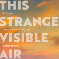 This Strange Visible Air