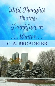  C. A. Broadribb - Wild Thoughts Photos:  Frankfurt in Winter - Wild Thoughts Photos, #5.