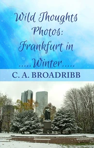 Wild Thoughts Photos:  Frankfurt in Winter