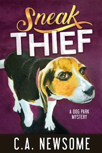 Sneak Thief
