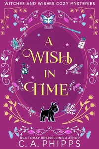 A Wish In Time